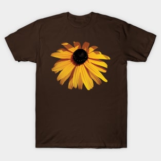 Black Eyed Susans - One Black-Eyed Susan T-Shirt